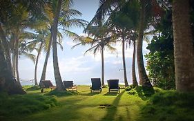 The Beach House